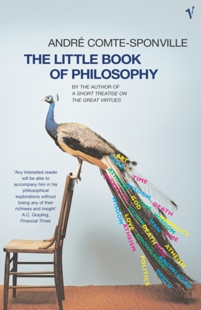 The Little Book Of Philosophy, Andre Comte-Sponville - Paperback - 9780099450184