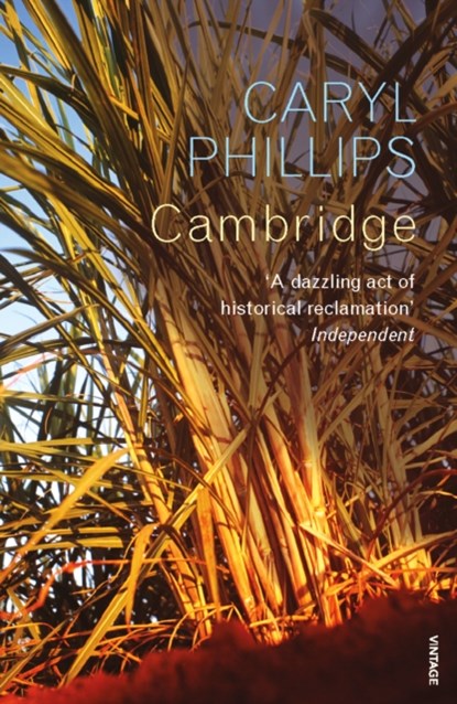 Cambridge, Caryl Phillips - Paperback - 9780099520566