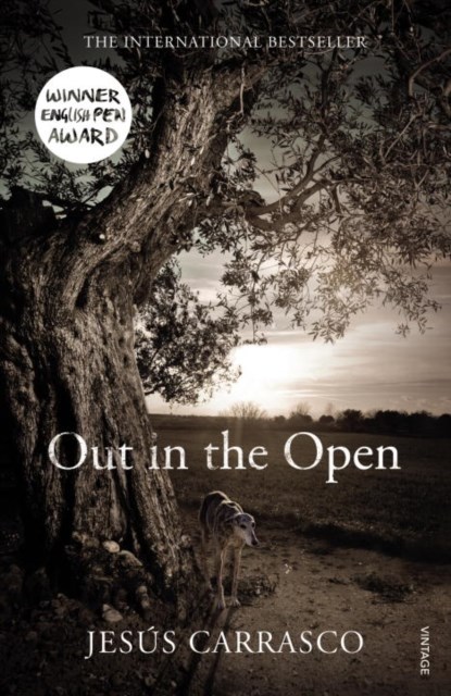 Out in the Open, Jesus Carrasco - Paperback - 9780099582182