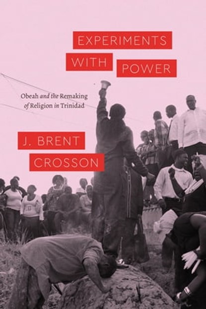 Experiments with Power, J. Brent Crosson - Ebook - 9780226705514