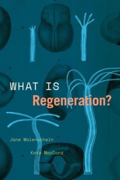 What Is Regeneration?, Jane Maienschein ; Kate MacCord - Paperback - 9780226816562