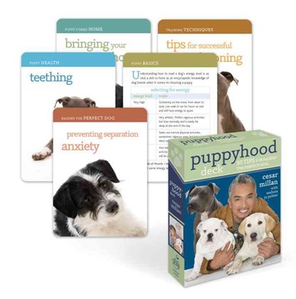 Puppyhood Deck: 50 Tips for Raising the Perfect Dog, Cesar Millan - Gebonden - 9780307463487