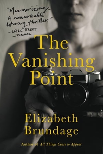 The Vanishing Point, Elizabeth Brundage - Ebook - 9780316430364