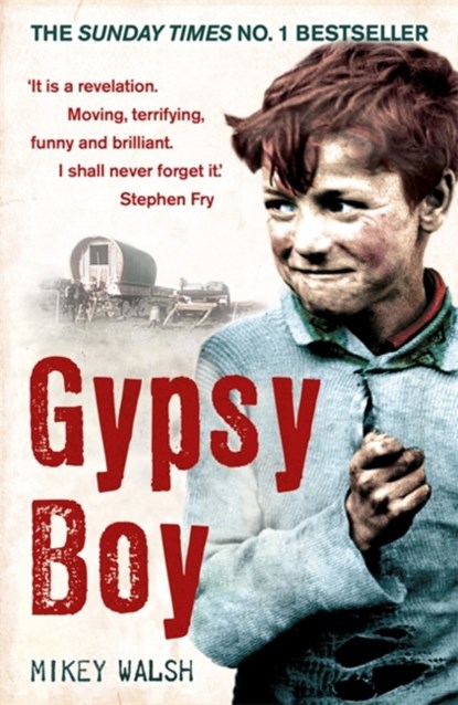 Gypsy Boy, Mikey Walsh - Paperback - 9780340977989