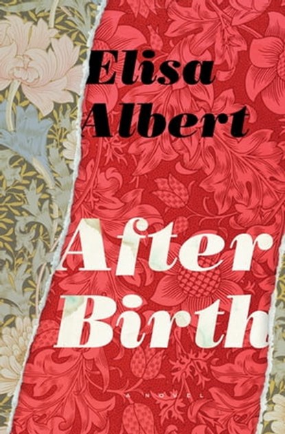 After Birth, Elisa Albert - Ebook - 9780544273306