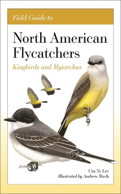 Field Guide to North American Flycatchers, Cin-Ty Lee - Paperback - 9780691240640