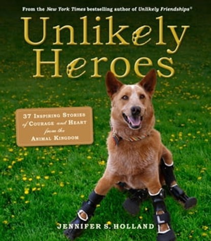 Unlikely Heroes, Jennifer S. Holland - Ebook - 9780761183167