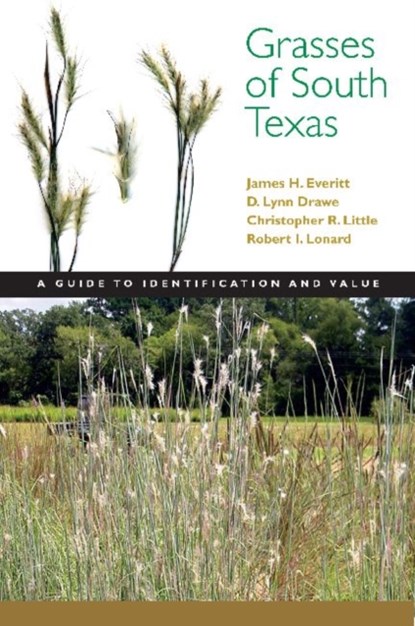 Grasses of South Texas, James H. Everitt ; D. Lynn Drawe ; Christopher Little - Paperback - 9780896726680