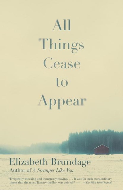 All Things Cease to Appear, Elizabeth Brundage - Paperback - 9781101911488