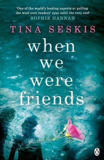 When We Were Friends, Tina Seskis - Ebook - 9781405917964