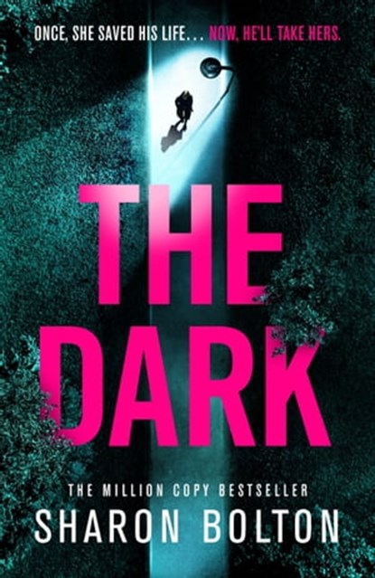 The Dark, Sharon Bolton - Ebook - 9781409198376