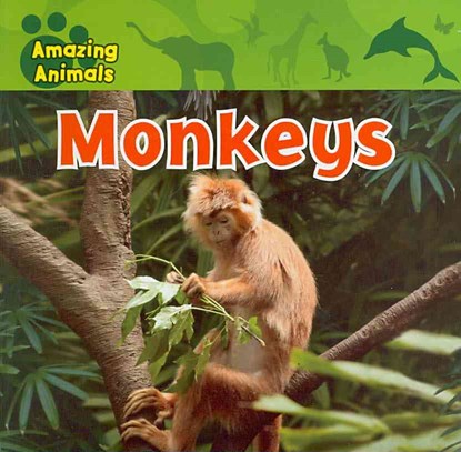 Monkeys, Christina Wilsdon - Paperback - 9781433920264