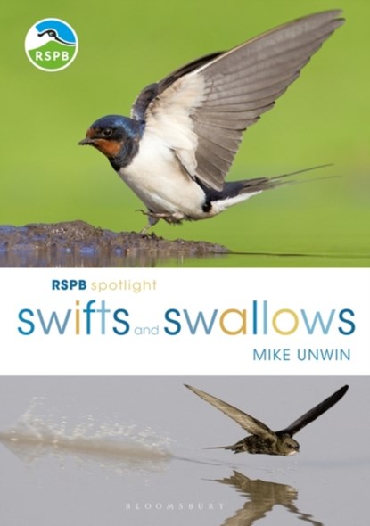 RSPB Spotlight Swifts and Swallows, Mike Unwin - Paperback - 9781472950116
