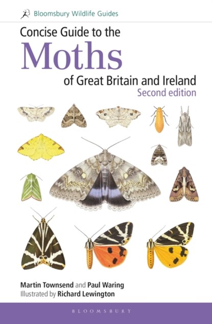 Concise Guide to the Moths of Great Britain and Ireland: Second edition, Martin Townsend ; Dr Paul Waring - Gebonden - 9781472957283