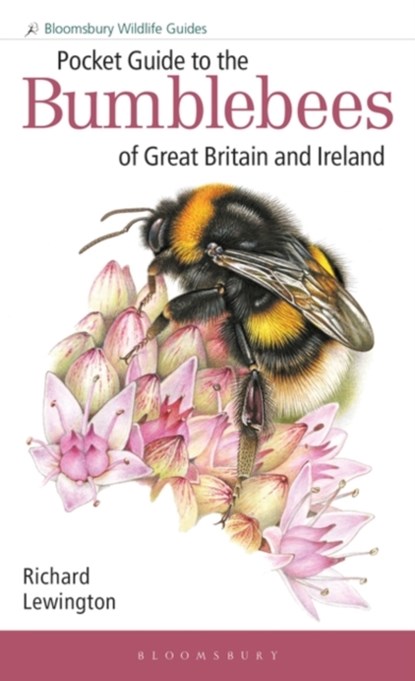 Pocket Guide to the Bumblebees of Great Britain and Ireland, Richard Lewington - Paperback - 9781472993595