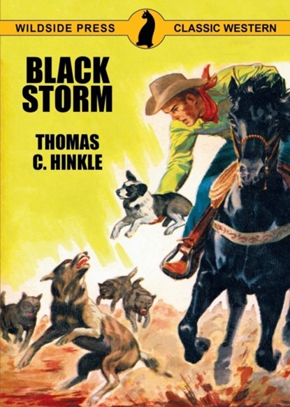 Black Storm, Thomas C Hinkle - Paperback - 9781479430598