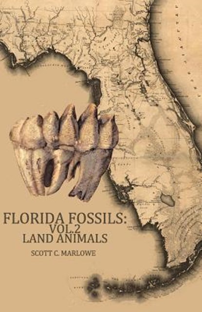 Florida Fossils: Land Animals, Scott C. Marlowe - Paperback - 9781494958992