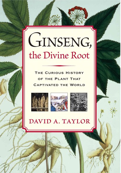 Ginseng, the Divine Root, David A. Taylor - Paperback - 9781565124011
