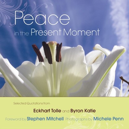 Peace in the Present Moment, Byron Katie - Gebonden - 9781571746436