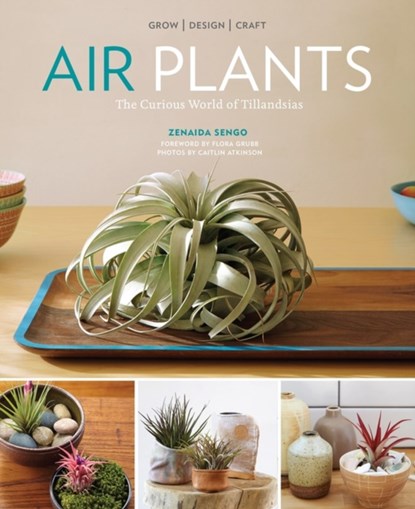 Air Plants, Zenaida Sengo - Paperback - 9781604694895
