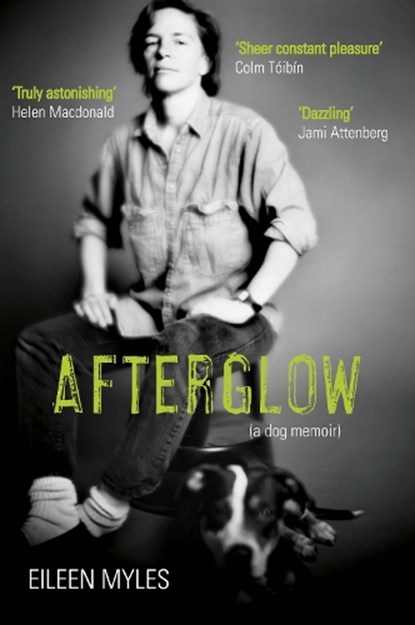 Afterglow, Eileen Myles - Paperback - 9781611855098
