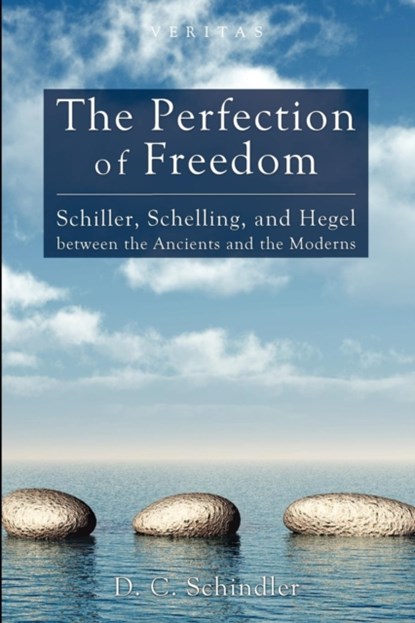 The Perfection of Freedom, D. C. Schindler - Paperback - 9781620321829