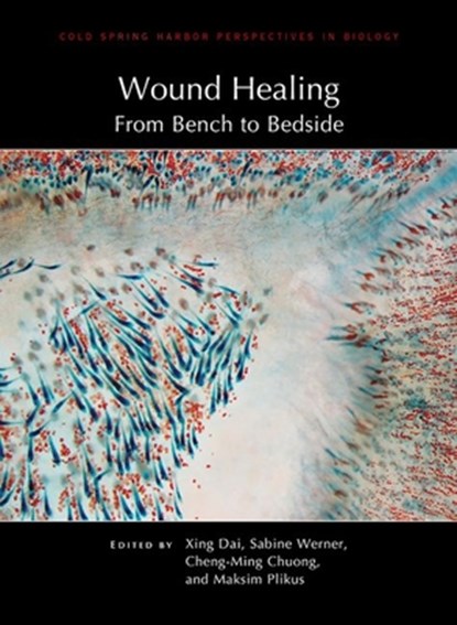 Wound Healing: From Bench to Bedside, Xing (University of California Irvine) Dai ; Sabine (Eth Zurich) Werner ; Cheng-Ming (University of Southern California) Chuong ; Maksim (University of California Irvine) Plikus - Gebonden - 9781621824442