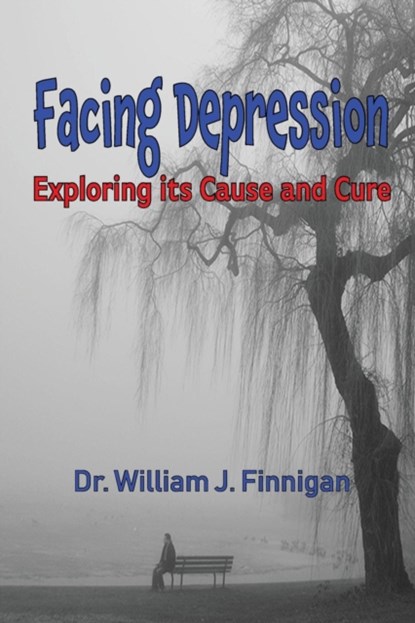 Facing Depression, William J Finnigan - Paperback - 9781732174641