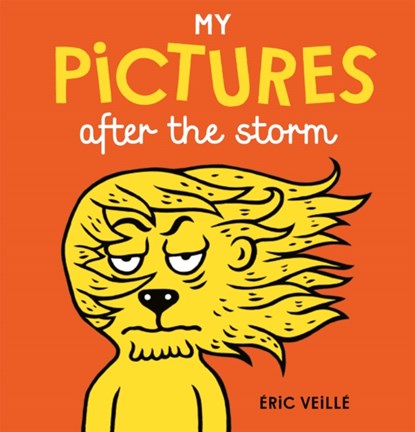 My Pictures After the Storm, Eric Veille - Gebonden - 9781776571048