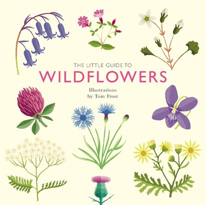 The Little Guide to Wildflowers, Alison Davies - Gebonden - 9781787139589