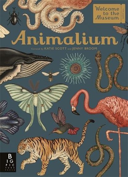 Animalium, Jenny Broom - Gebonden - 9781787411647