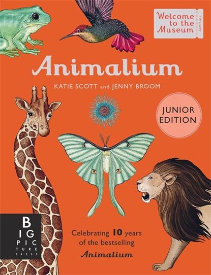 Animalium (Junior Edition), Jenny Broom - Gebonden Gebonden - 9781800783706