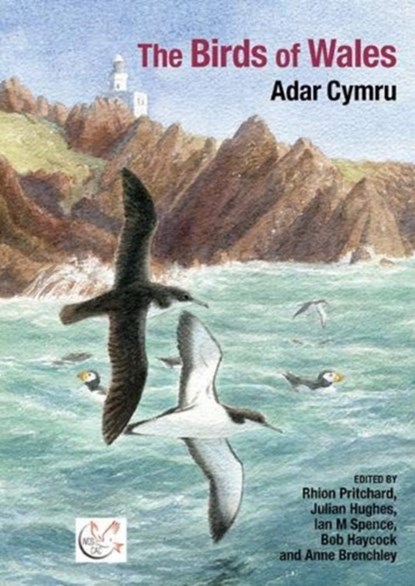 The Birds of Wales, Rhion Pritchard ; Julian Hughes ; Ian M. Spence ; Bob Haycock ; Anne Brenchley - Gebonden - 9781800859722