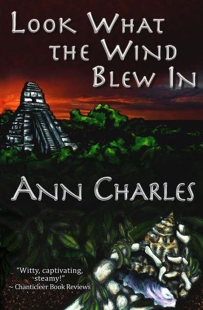 Look What the Wind Blew In, Ann Charles ; C S Kunkle - Paperback - 9781940364230