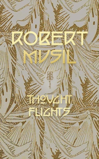 Thought Flights, Professor Robert Musil - Paperback - 9781940625102