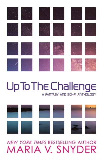 Up to the Challenge, Maria V Snyder - Paperback - 9781946381125