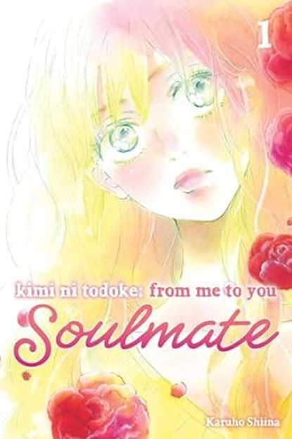 Kimi ni Todoke: From Me to You: Soulmate, Vol. 1, Karuho Shiina - Paperback - 9781974743742