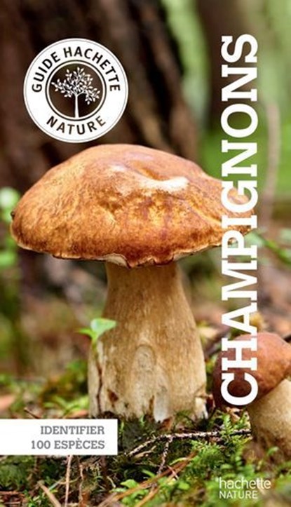 Le petit guide Hachette des champignons, Angelika lang - Ebook - 9782012317482