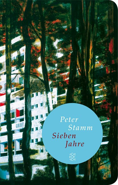 Sieben Jahre, Peter Stamm - Gebonden - 9783596511914