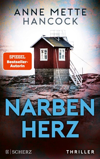 Narbenherz, Anne Mette Hancock - Paperback - 9783651000940