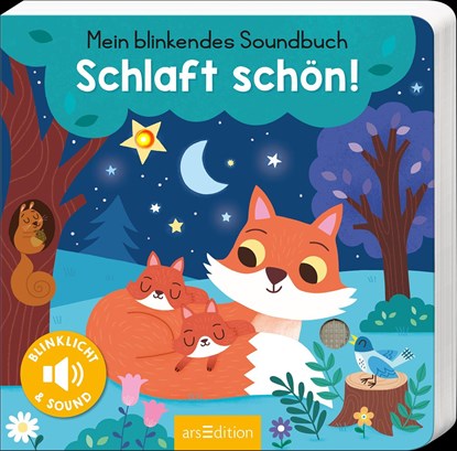 Mein blinkendes Soundbuch - Schlaft schön!, Maria Höck - Overig - 9783845848099