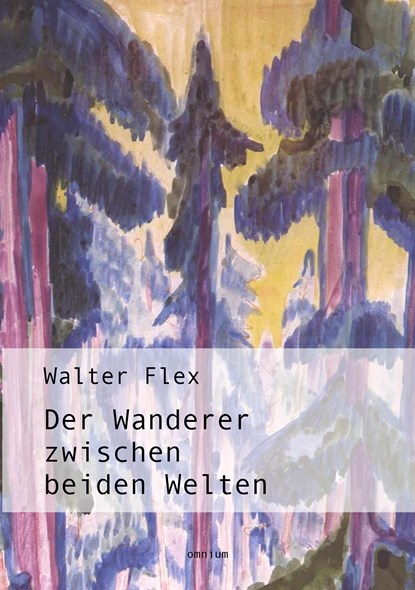 Der Wanderer zwischen beiden Welten, Walter Flex - Paperback - 9783942378994