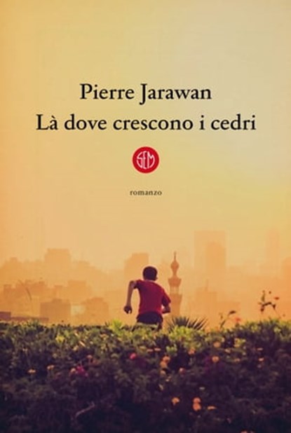 Là dove crescono i cedri, Pierre Jarawan - Ebook - 9788893903820