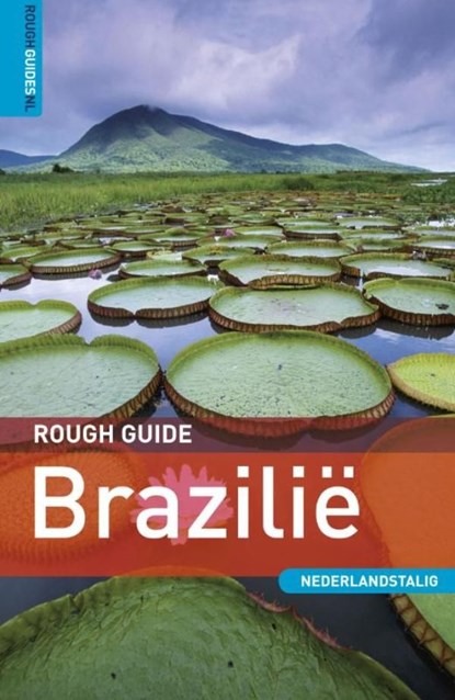 Rough Guide Brazilië, David Cleary - Ebook - 9789000307715