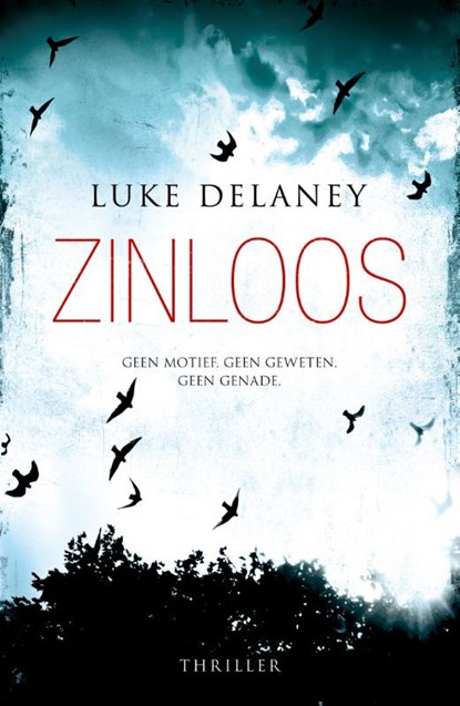 Zinloos, Luke Delaney - Paperback - 9789000316823