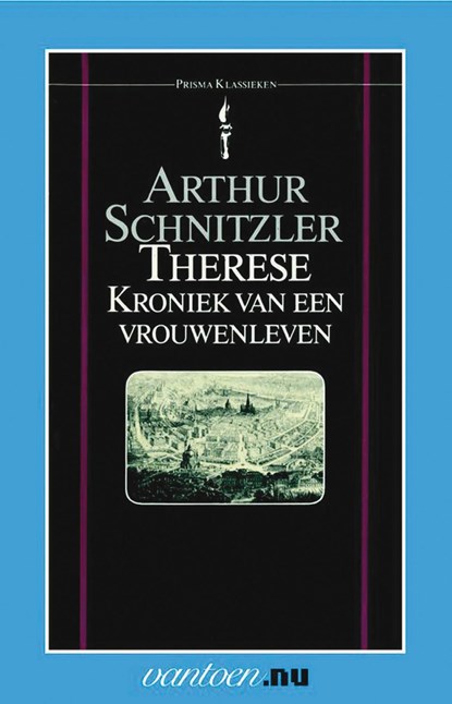 Therese, kroniek van een vrouwenleven, Arthur Schnitzler - Ebook - 9789000331406