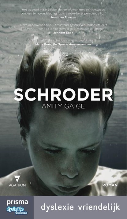 Schroder, Amity Gaige - Ebook - 9789000334193
