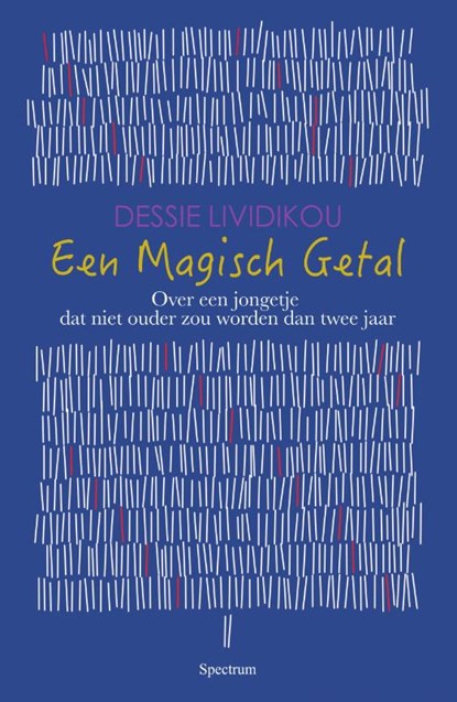 Een magisch getal, Dessie Lividikou - Paperback - 9789000372379