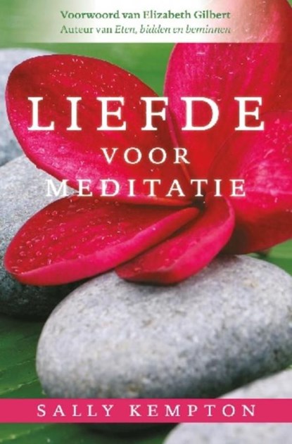 Liefde voor meditatie, Sally Kempton - Ebook - 9789020207903