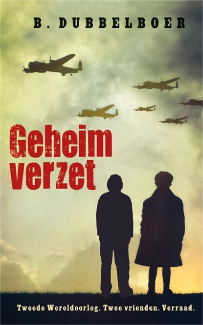 Geheim verzet, B. Dubbelboer - Paperback - 9789020621792